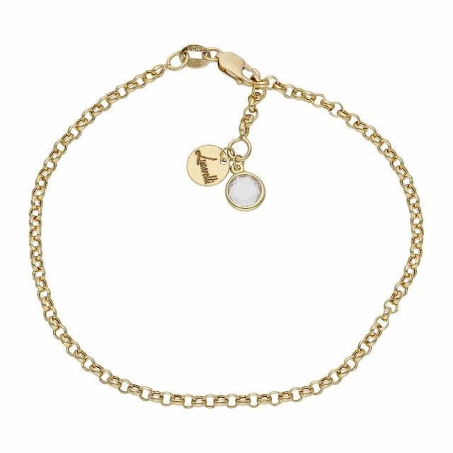 Imagen del producto PULSERA MI HISTORIA ORO 18KL 2.50MM - CIRCONITA